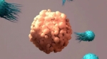 Advancements in B-cell Maturation Antigen (BCMA) Targeted Therapies for Multiple Myeloma Treatment